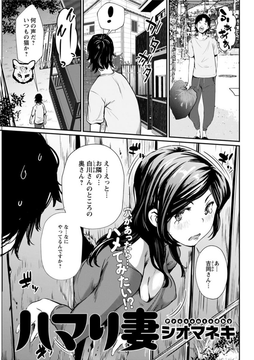 【エロ漫画】猫を追いかけ板塀にハマってしまう巨乳人妻...お隣さんに助けてもらおうとすると欲情した男の子に弄られバックでハメられる【シオマネキ:ハマり妻】