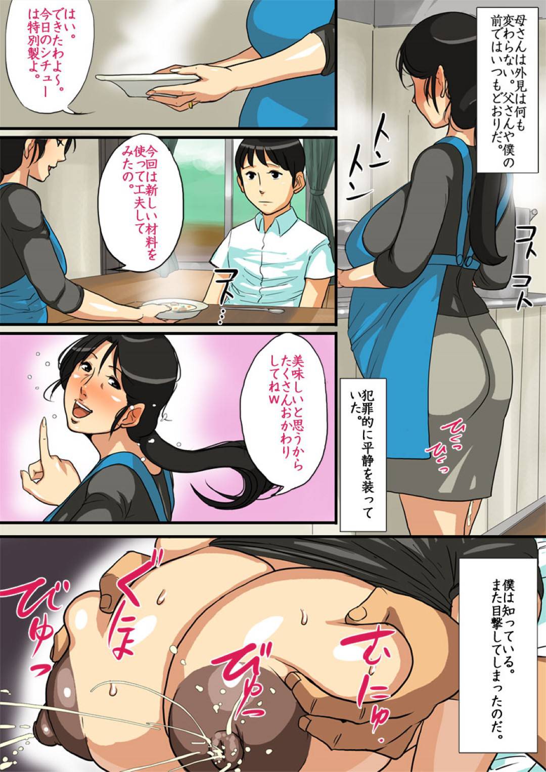 【エロ漫画】自分の同級生と関係を持っている母親の姿を目撃してしまった息子...家に帰ると同級生と何度も中出しセックスして喜ぶ母親を見てしまう【モクゾウザブトン：堕母】